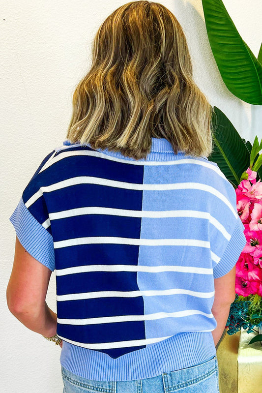 Sky Blue Stripe Colorblock Sweater Vest
