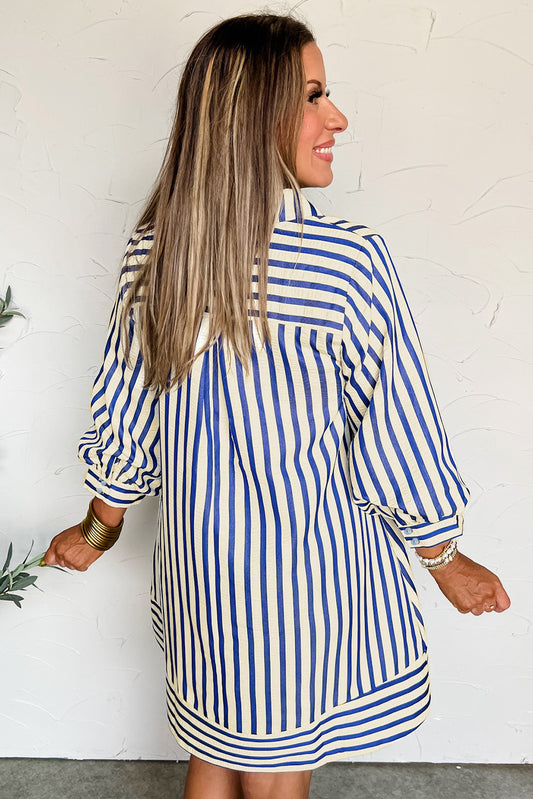 Blue Stripe Half Button Mini Dress