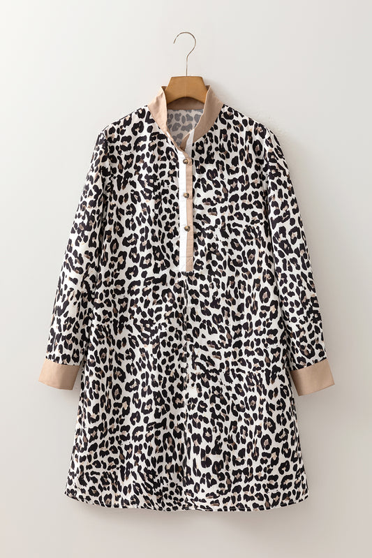 Leopard Print Long Sleeve Flared Dress